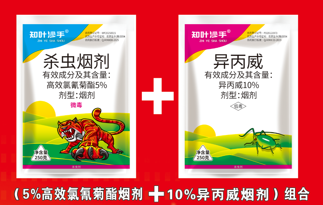 精品組合殺蟲煙霧劑